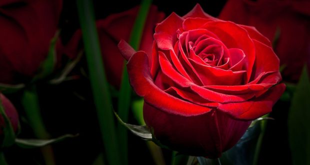 Эротикалық фелим алыс секс